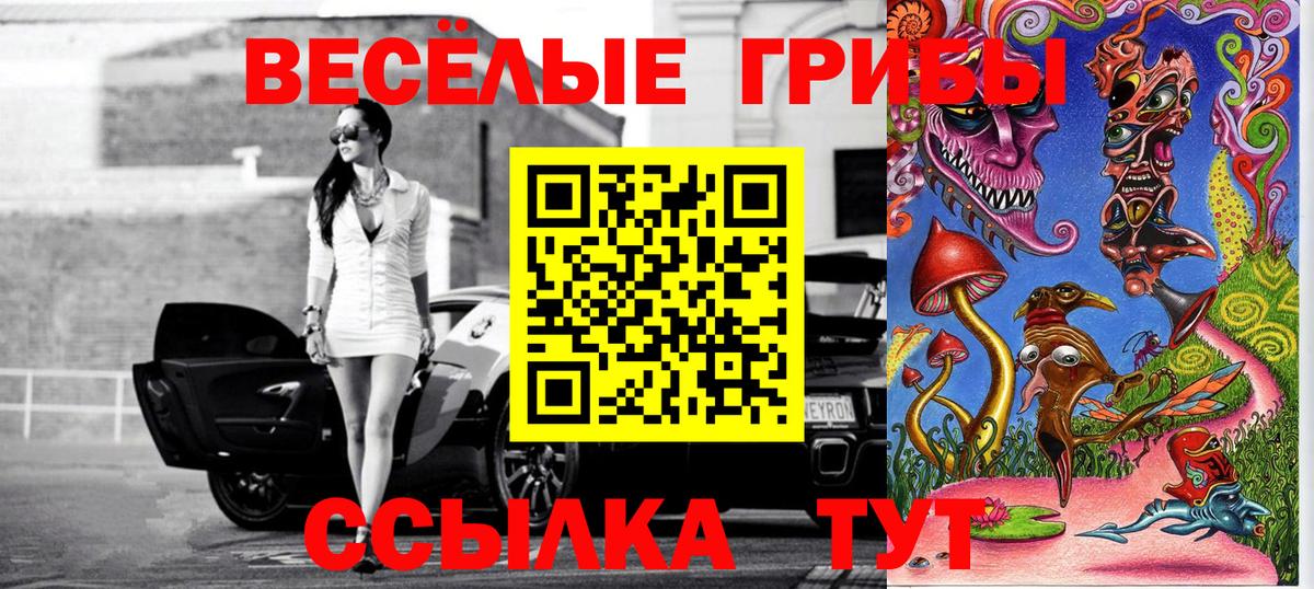 Галлюциногенные грибы мицелий Торжок