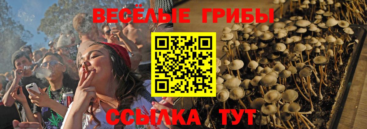 Галлюциногенные грибы мицелий  Вход с VPN  Торжок 
